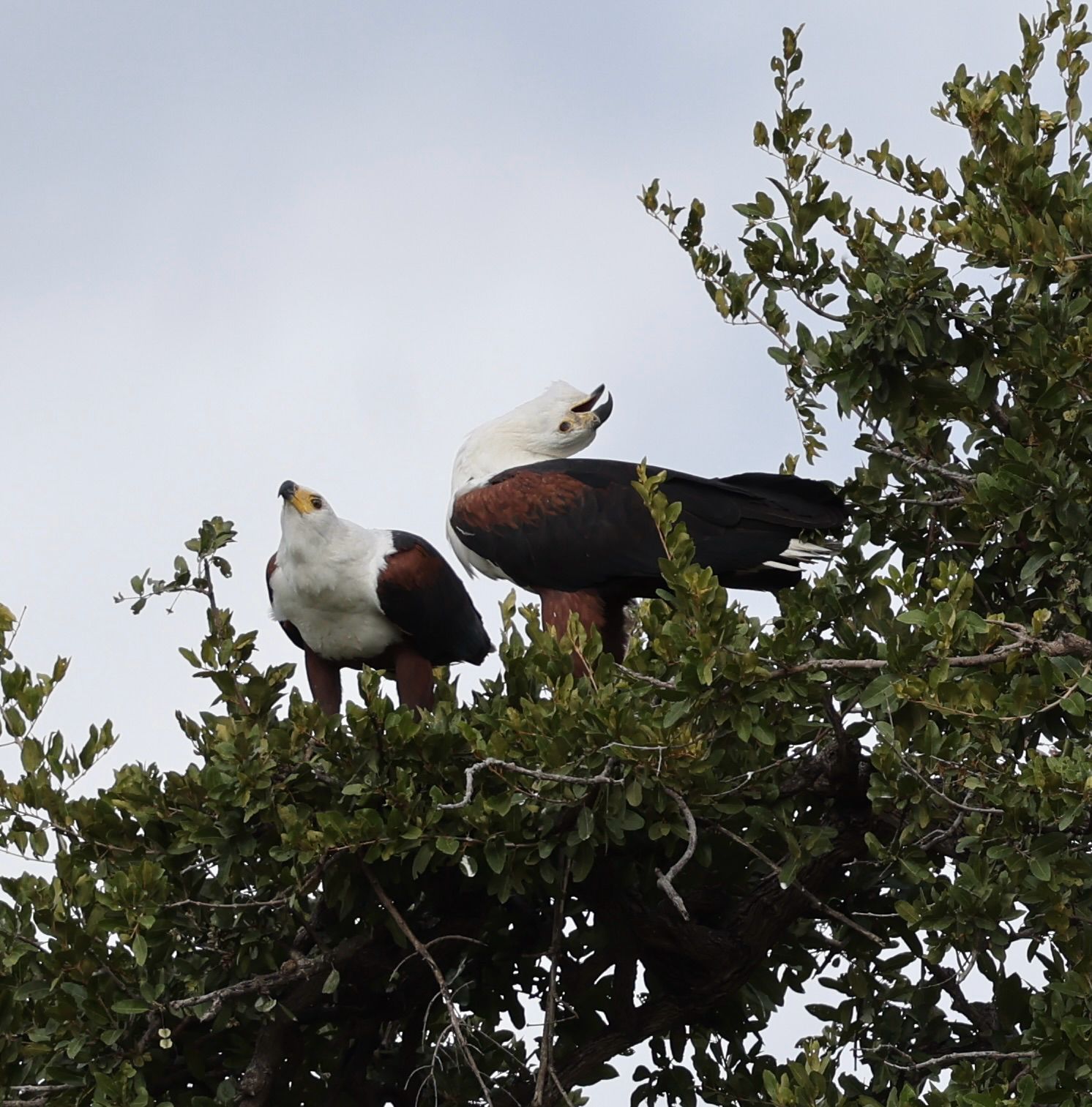 Test Book 2 - Image 5