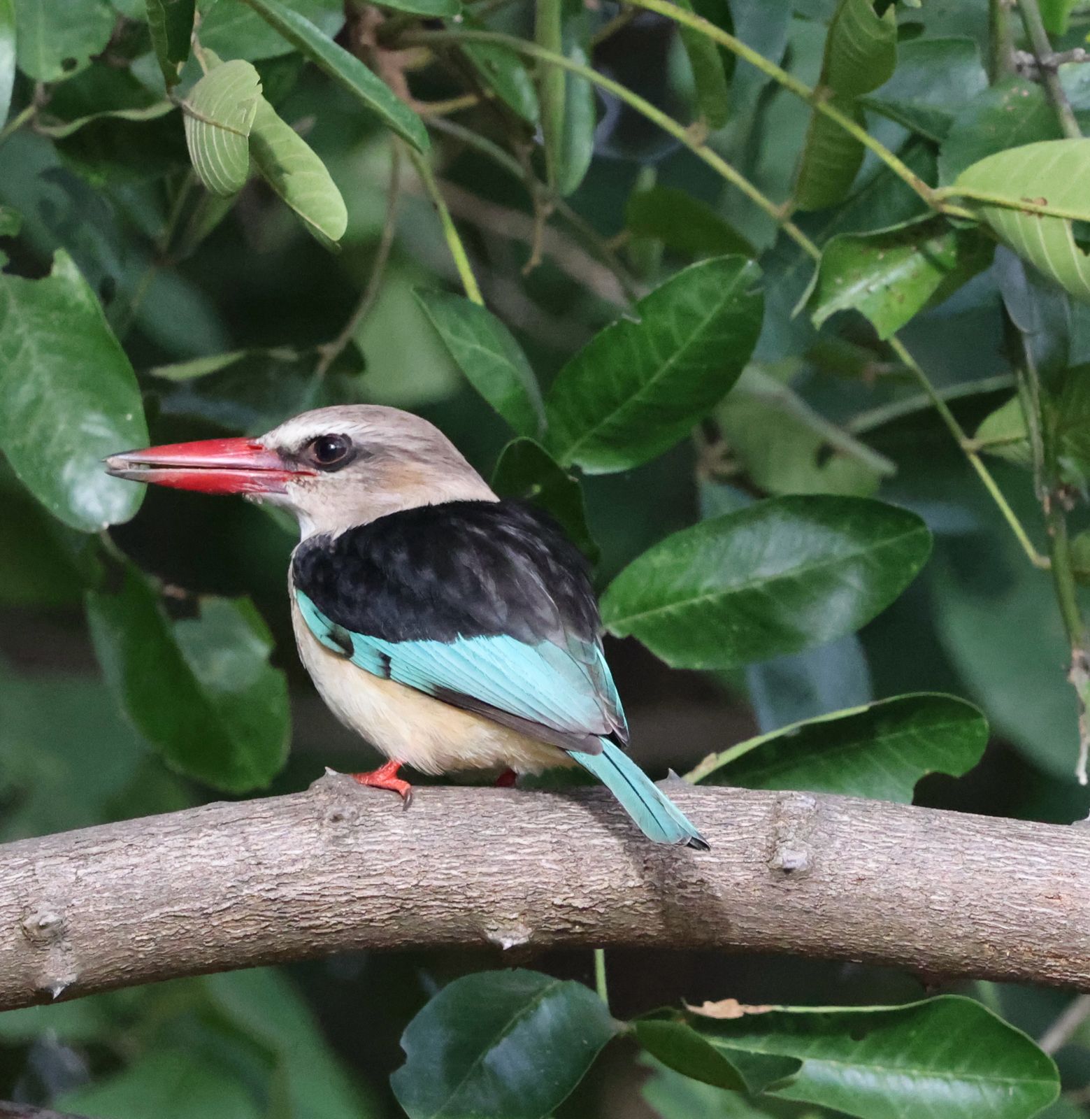 Test Book 2 - Image 4