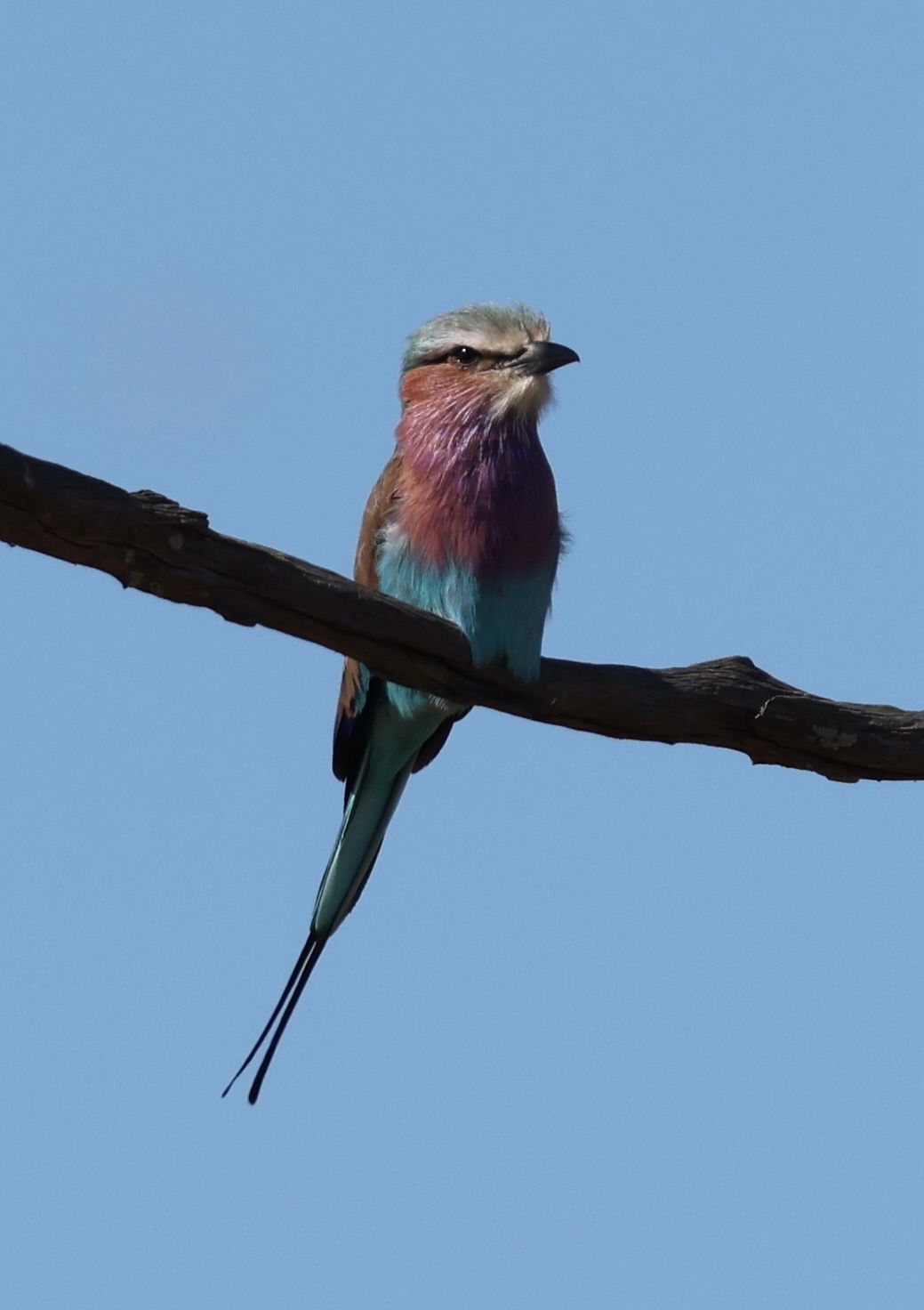 Test Book 2 - Image 3