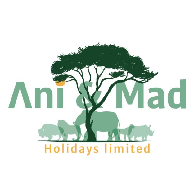 Ani & Mad Holidays Ltd