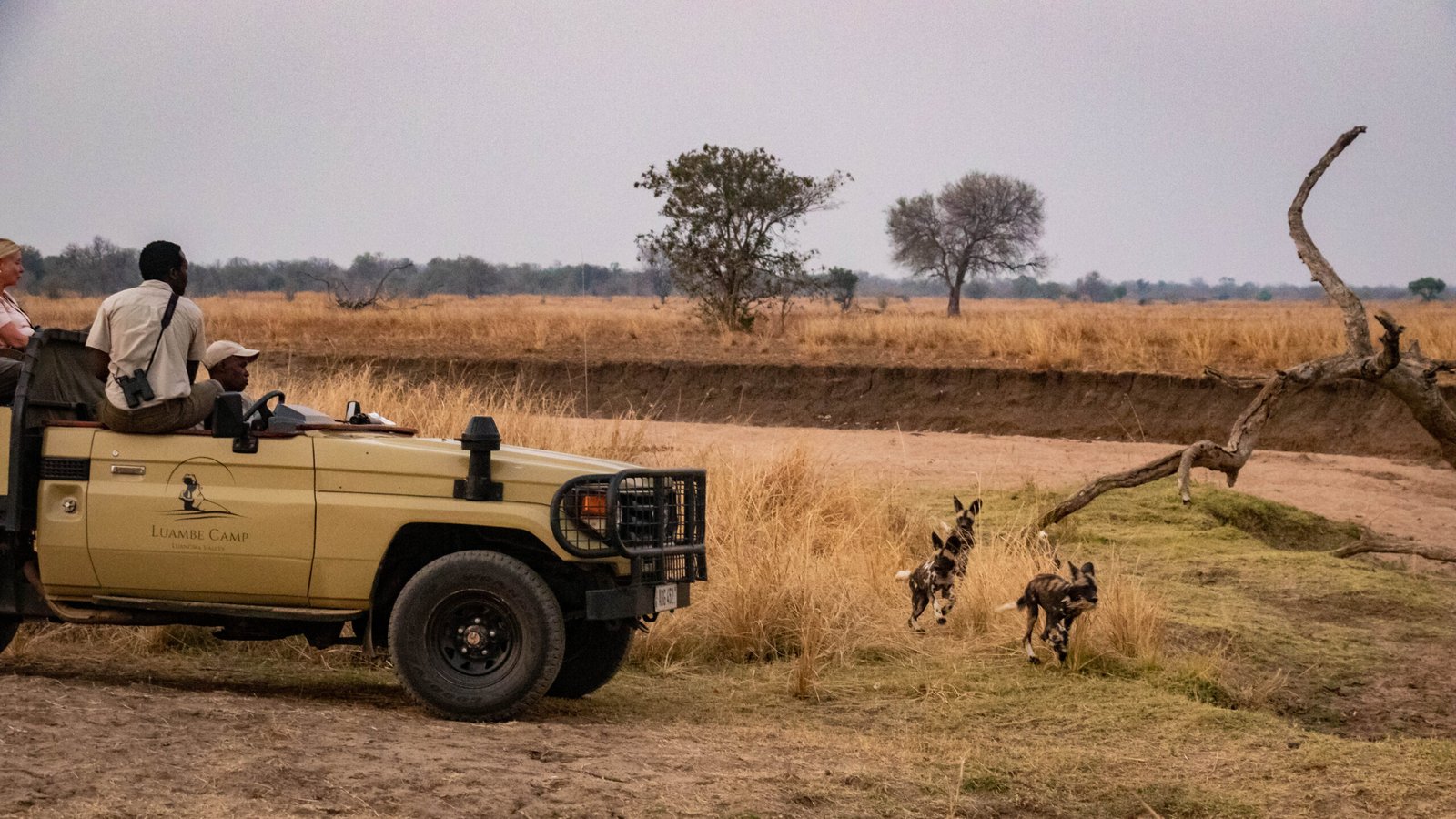 Luambe Horizons Lodge, Luambe National Park – Per Night Safari Stay (ZMW Rates) - Image 4