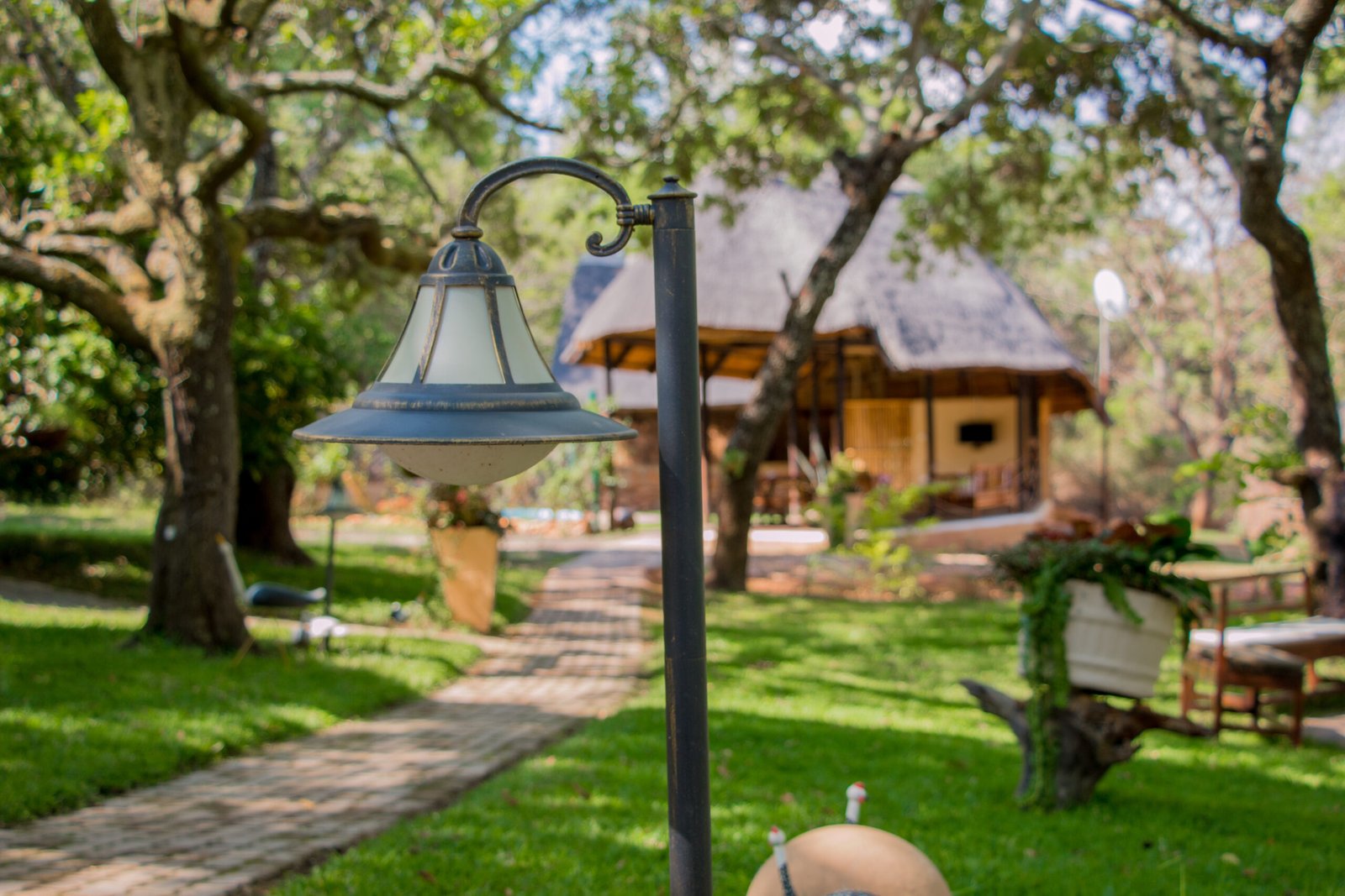 Pioneer Lodge