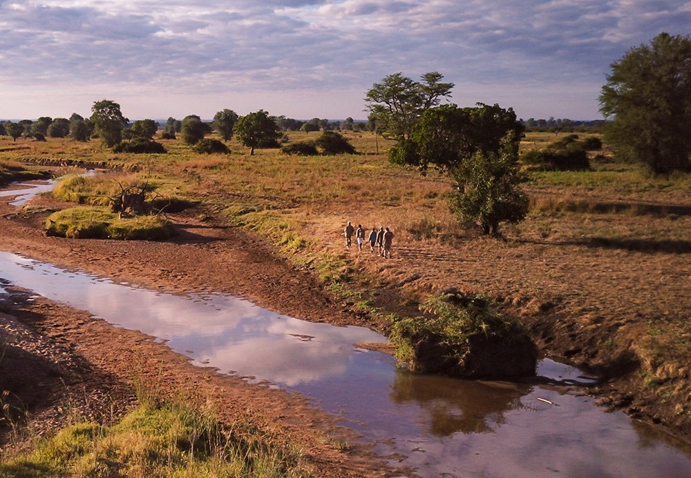 Luambe Horizons Lodge, Luambe National Park – Per Night Safari Stay (ZMW Rates) - Image 3