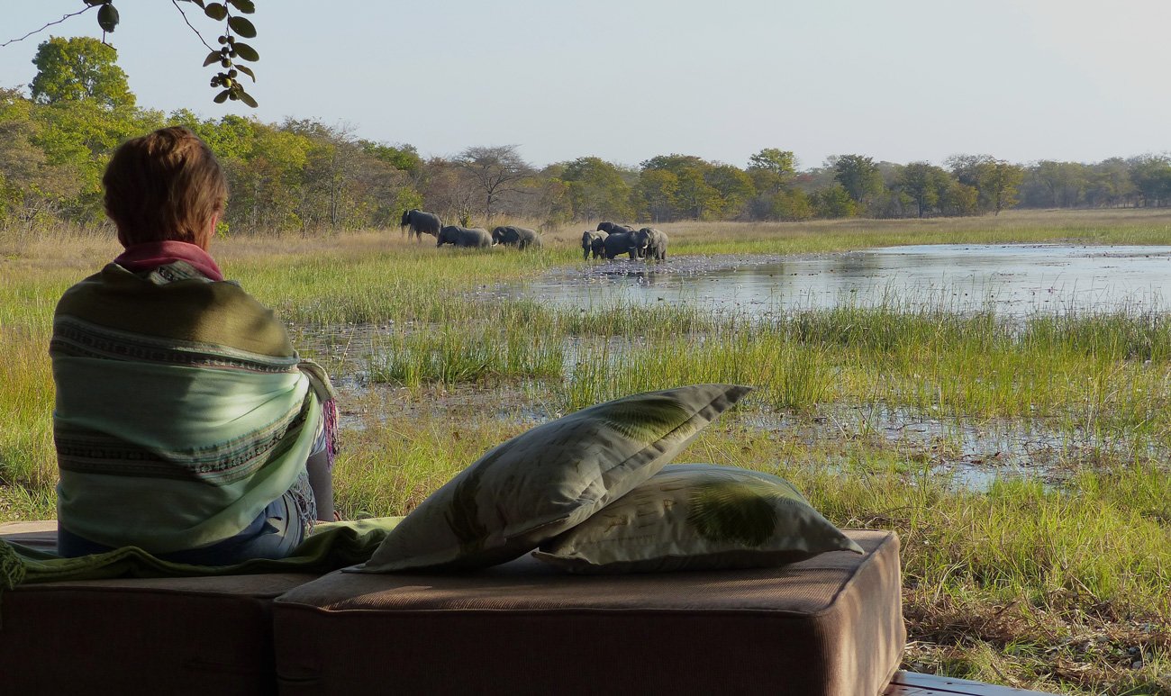 Book Nanzhila Plains Camp: Per Night Rates in Kafue (ZMW Pricing) - Image 3