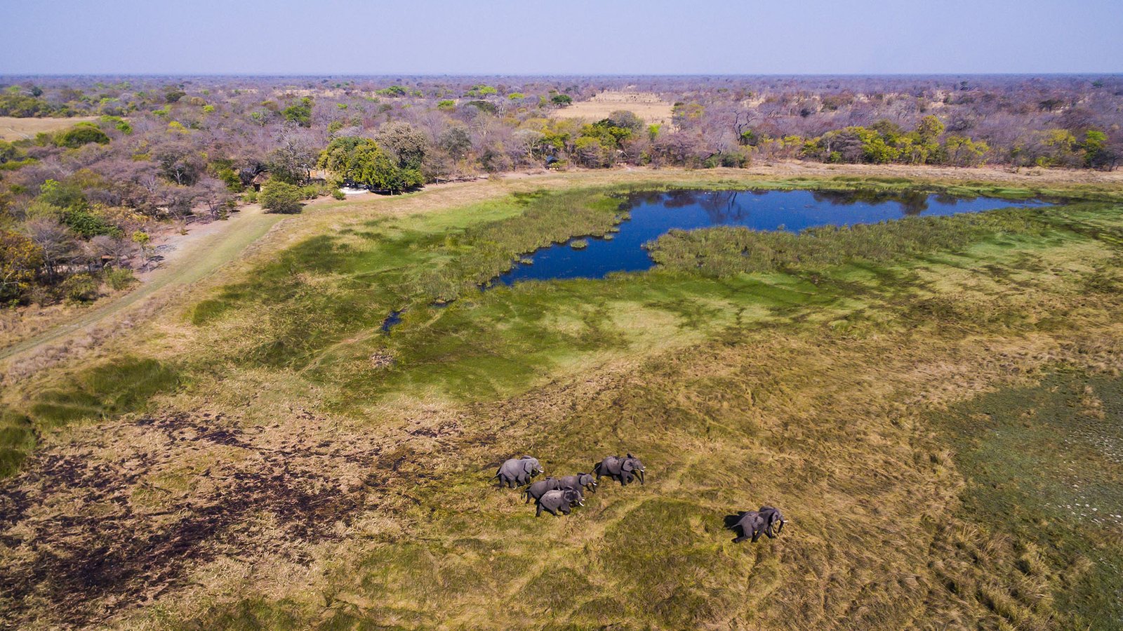Book Nanzhila Plains Camp: Per Night Rates in Kafue (ZMW Pricing) - Image 11