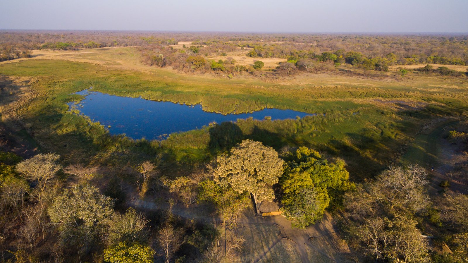 Book Nanzhila Plains Camp: Per Night Rates in Kafue (ZMW Pricing) - Image 10