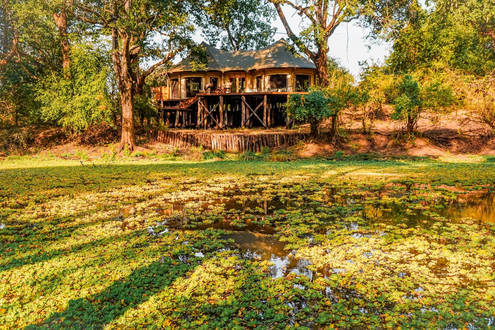 Painted Dogs Lagoon, Mfuwe β Per Night Safari Stay (ZMW Rates) - Image 4