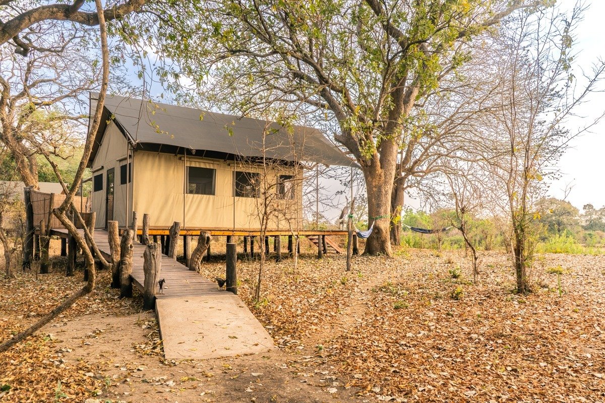 Painted Dogs Lagoon, Mfuwe β Per Night Safari Stay (ZMW Rates) - Image 11