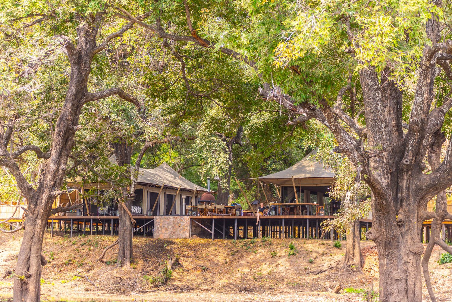 Painted Dogs Lagoon, Mfuwe β Per Night Safari Stay (ZMW Rates) - Image 5
