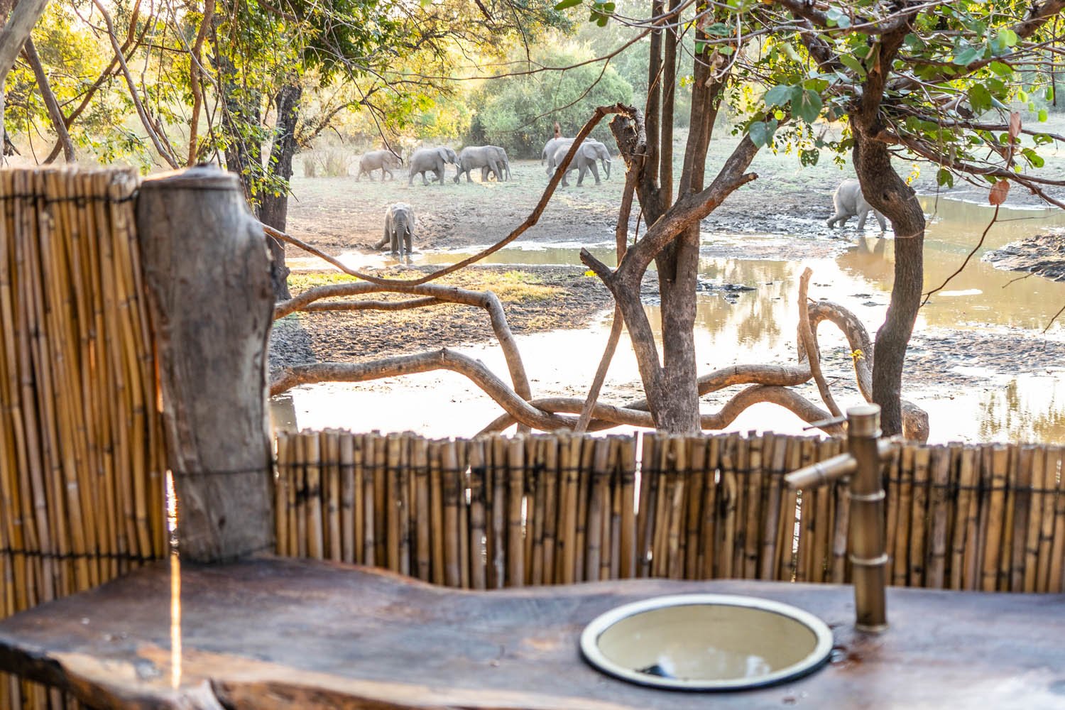 Painted Dogs Lagoon, Mfuwe β Per Night Safari Stay (ZMW Rates) - Image 7